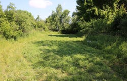N189 Clark Dr, Withee, WI 54498