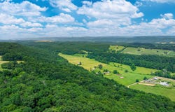 6654 County Road 223, Collinsville, AL 35961
