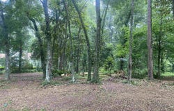 Yvonne Court, Havana, FL 32333