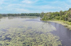 9079 BOELTER LAKE Drive, ALMOND, WI 54909