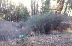 0 El valle Road, Cedarpines Park, CA 92322