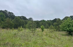0 Hamilton, Lagrange, GA 30241