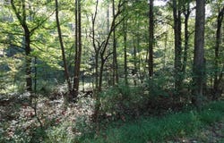 0 south County Road 150 W, Paoli, IN 47454