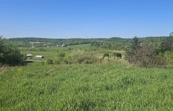 35 Ac County Road W, Elroy, WI 53929