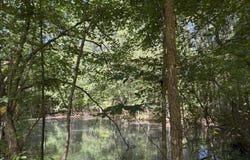 11317 Sapony Church Rd, Mckenney, VA 23872