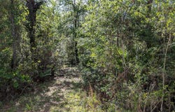 00 NE 108TH PLACE, WALDO, FL 32694