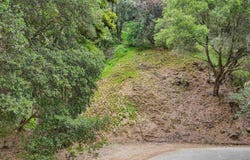 Girvin Dr, Oakland, CA 94603