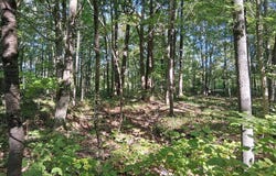 1 National Lane, Crandon, WI 54520