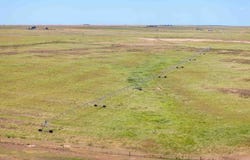 Bourquin Cattle 495 Ac, Follett, TX 79034