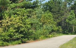 Norseman Drive lot: 8, Grayling, MI 49738
