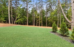 150 Red Maple Lane, Blairsville, GA 30512