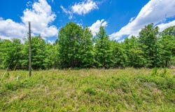 0 Park Circle, Branchville, SC 29432