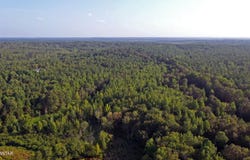 00 Roberts Road (Lot 16), Pinson, TN 38366