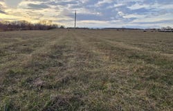 Lot 1 Johns Ford Road, Rogersville, MO 65742