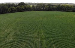 Tbd Cottingham Boulevard N, Bennettsville, SC 29512