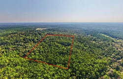 17 +/- Ac Burnis Havard Road, Perkinston, MS 39573