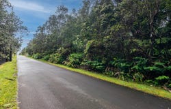 7TH ST, Volcano, HI 96785