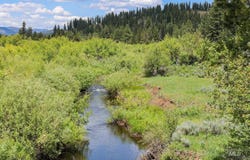 Highway 95, New Meadows, ID 83654