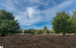 0000 E BELLINGER ROAD, CEDAR, MI 49621