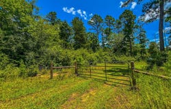 Tbd County Road 1906, Jacksonville, TX 75766