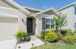 33488 ELM HILL BRANCH, WESLEY CHAPEL, FL 33545