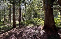 9692 N Laird, Pelkie, MI 49958