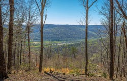 Moonlight Lane, Jasper, TN 37347
