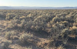 8 Bellevue Drive LOT 33, Arroyo Seco, NM 87514