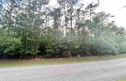 Lot 8 & 9 E WILDWOOD DR, Village Mills, TX 77663
