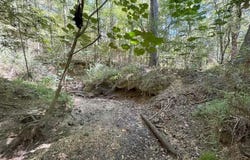 Delaware Avenue, McComb, MS 39648