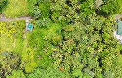JAPANESE CAMP RD, Pahoa, HI 96778