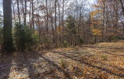 5.67 Acres Still Waters Ln, Fairfield, VA 24435