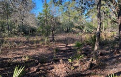 8108 N Shannon Avenue, Crystal River, FL 34428