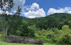 Wooldridge Rd, Jellico, TN 37762