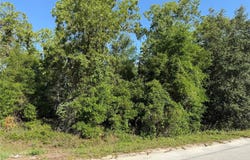 Tbd SE 154TH STREET, SUMMERFIELD, FL 34491