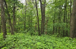 10559 20th Street, Colfax, WI 54703