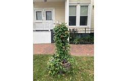 105 North Street, Portland, ME 04101