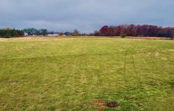 3 County Road 89, Anderson, AL 35610