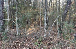 051 Inglewood Drive, Brookeland, TX 75931