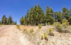 1255 E Ruger Ln, Duck Creek Village, UT 84762