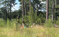 813 Wiregrass Road, Hamlet, NC 28345