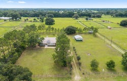 10904 NE 41ST TERRACE, ANTHONY, FL 32617