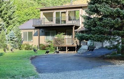 850 HIGHWAY 142, Lyle, WA 98635