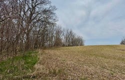 S Side White Frame Rd, Littleton, IL 61452