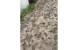 Harbor Ave, Jameson, MO 64647
