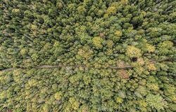 Lot 11-1 Carry Ridge Road, Northfield, ME 04686