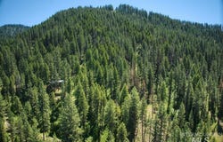 17 Thunder Rd, Garden Valley, ID 83622-0000