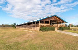 5100 W HWY 329, REDDICK, FL 32686