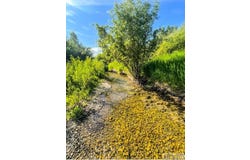 Tbd Trumpeter Road, Swan Valley, ID 83449