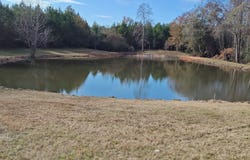 817 Wiggins Rd., Evergreen, AL 36401